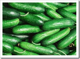 Lebanese cucumbers