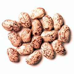 Pinto Beans Pinto Beans