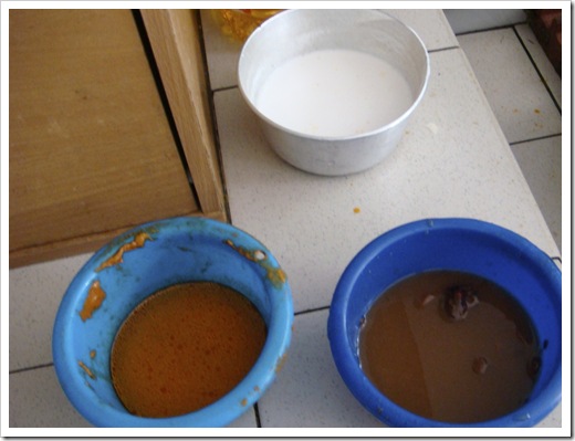 12 The balance of santan and tamarind juice 12 The balance of santan and tamarind juice